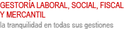 Gestor&iacute;a Laboral, Social, Fiscal y Mercantil